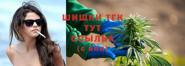 дурь Богданович
