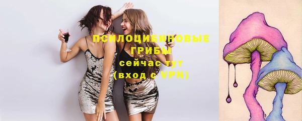 МДМА Богородск