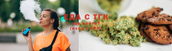 гидра Богородицк