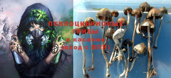 твердый Белоозёрский
