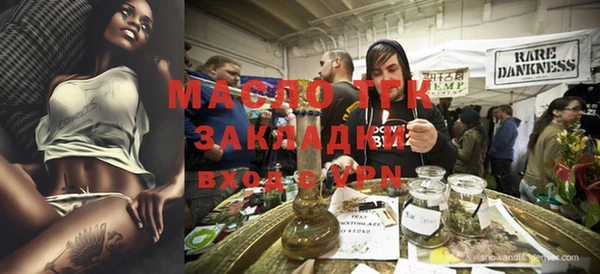гидра Богородицк