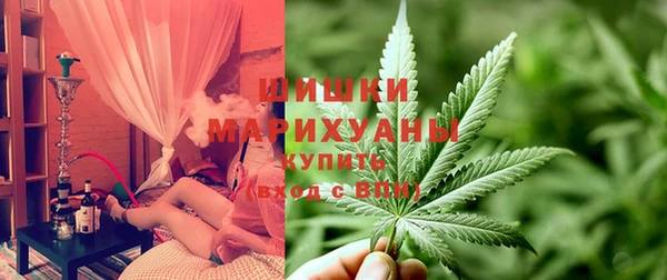 гидра Богородицк